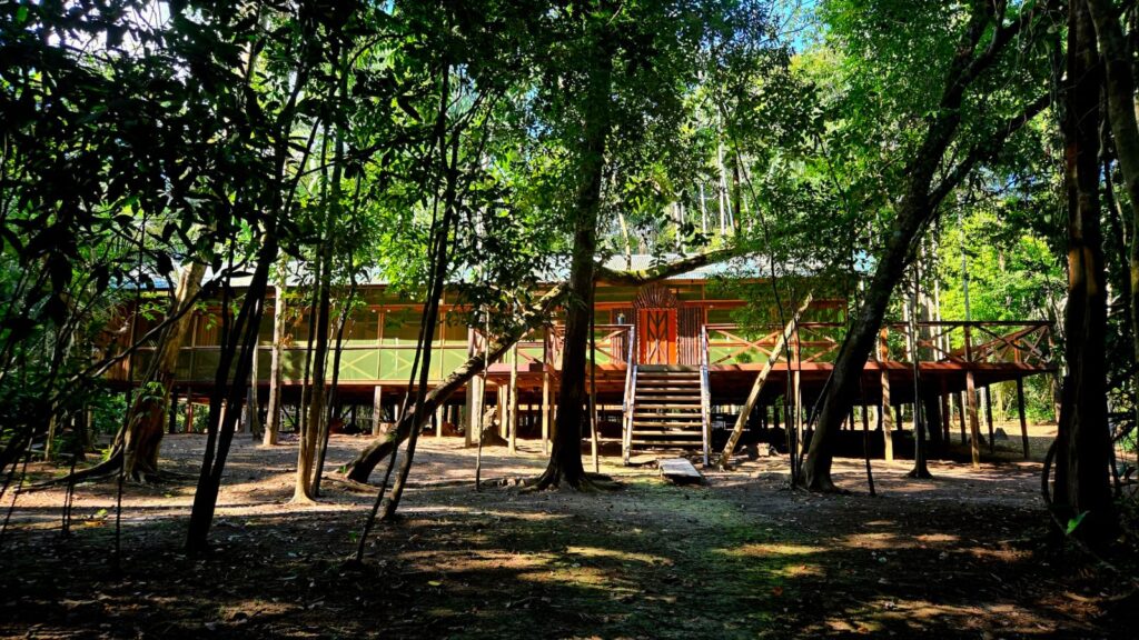 foto do amazon camp lodge no periodo da vazante, quando as águas estão baixas, a foto mostra como o lodge se integra a natureza cercado de grandes árvores