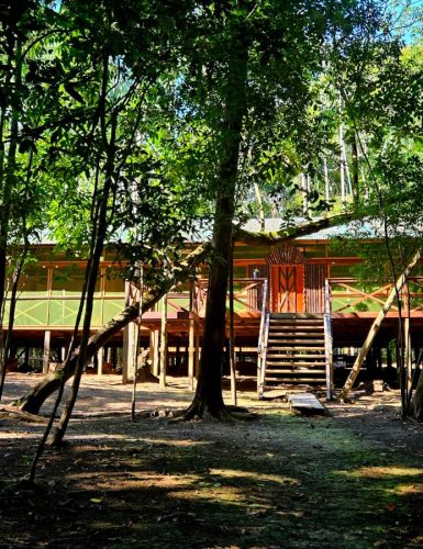 Externo - amazoncamplodge