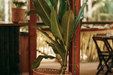 amazon-camp-lodge-o-lodge-slider-1-3