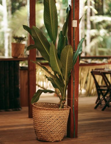 amazon-camp-lodge-o-lodge-slider-1-3