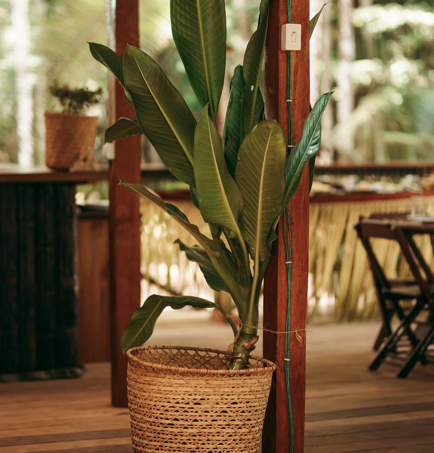 amazon-camp-lodge-o-lodge-slider-1-3