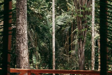 amazon-camp-lodge-o-lodge-slider-1-4