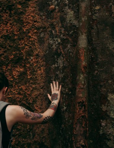 amazon-camp-lodge-o-lodge-slider-3-1