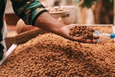 amazon-camp-lodge-o-lodge-slider-3-5