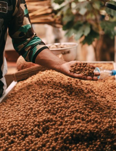 amazon-camp-lodge-o-lodge-slider-3-5